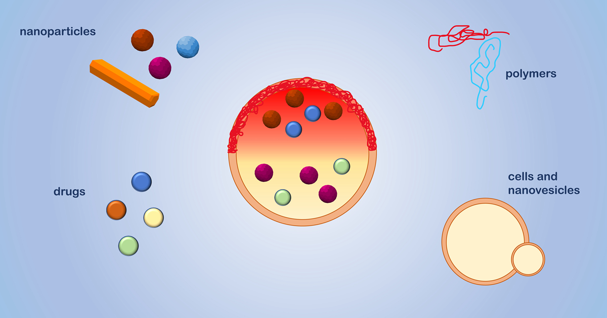 Graphical abstract